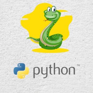 2021 Problem Solving with Python for Beginners